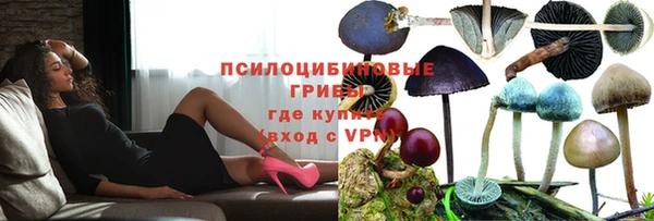 мдпв Бородино