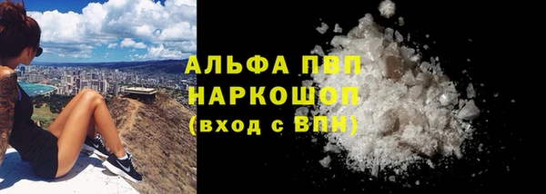 мдпв Бородино