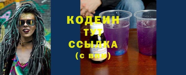 мдпв Бородино
