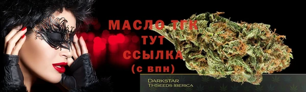 мдпв Бородино