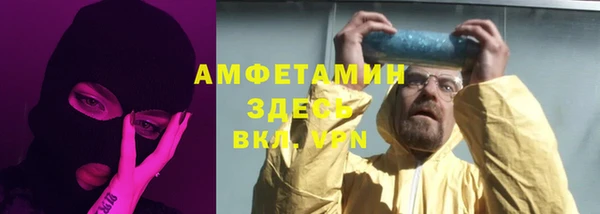 мдпв Бородино