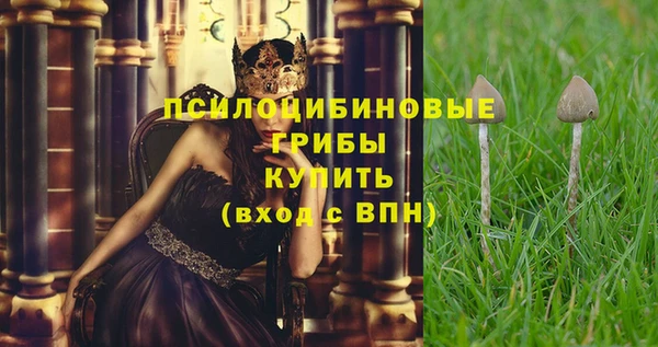 мескалин Бронницы