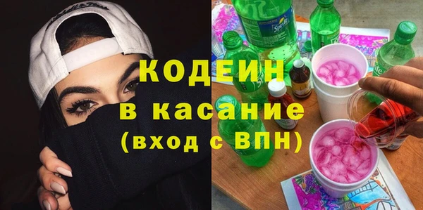 мдпв Бородино