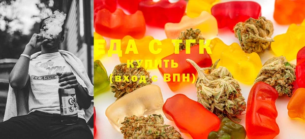 мдпв Бородино
