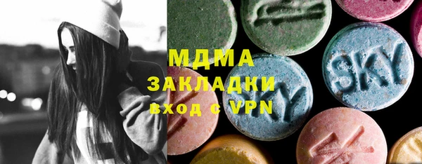 мдпв Бородино