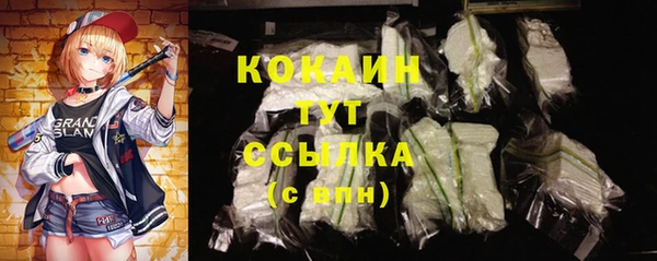 мдпв Бородино