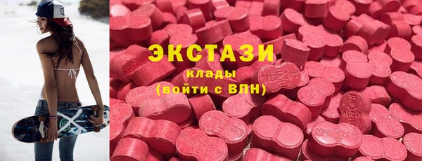 мдпв Бородино