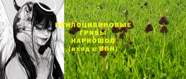 мескалин Бронницы