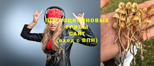 стафф Бугульма