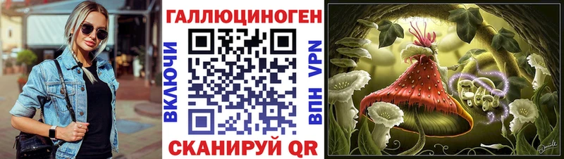 Купить  Мариинск  Псилоцибиновые грибы Psilocybe 